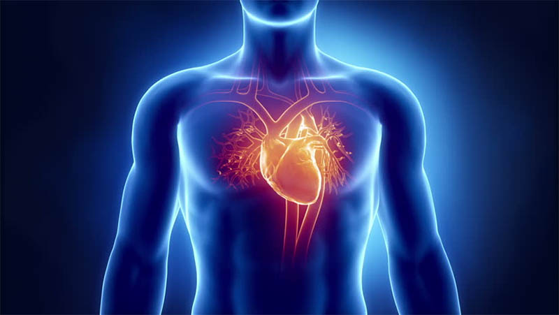 Dấu hiệu của hội chứng tim mạch chuyển hóa